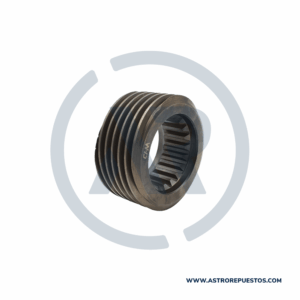 PIÑON VELOCIMETRO (4/21) NPR